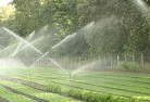 Woolamailandscaping-water-management-and-drainage-17.jpg; ?>